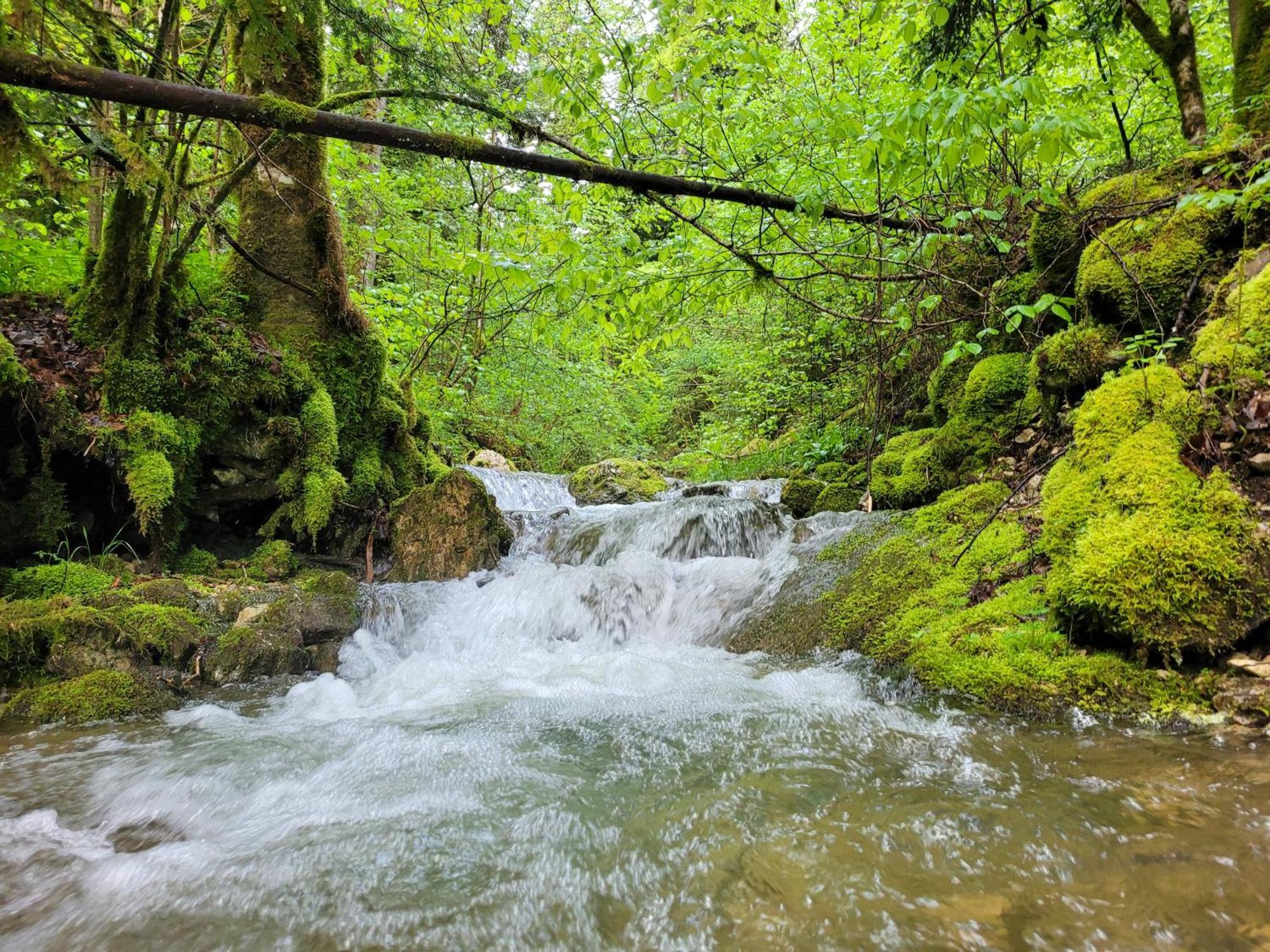 Location A La Ferme Lacs Et Montagnes 